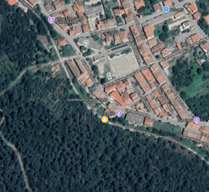 Ubicació arbre caigut Amer