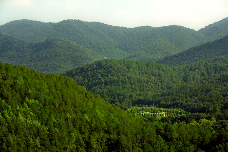 Camping Bassegoda Park