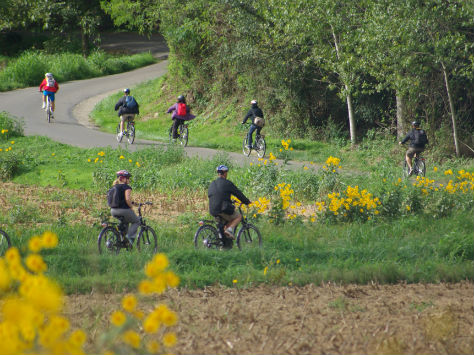 ATMA - Logistic Bike Center Cyclists