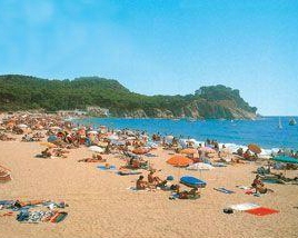 Camping Castell Park