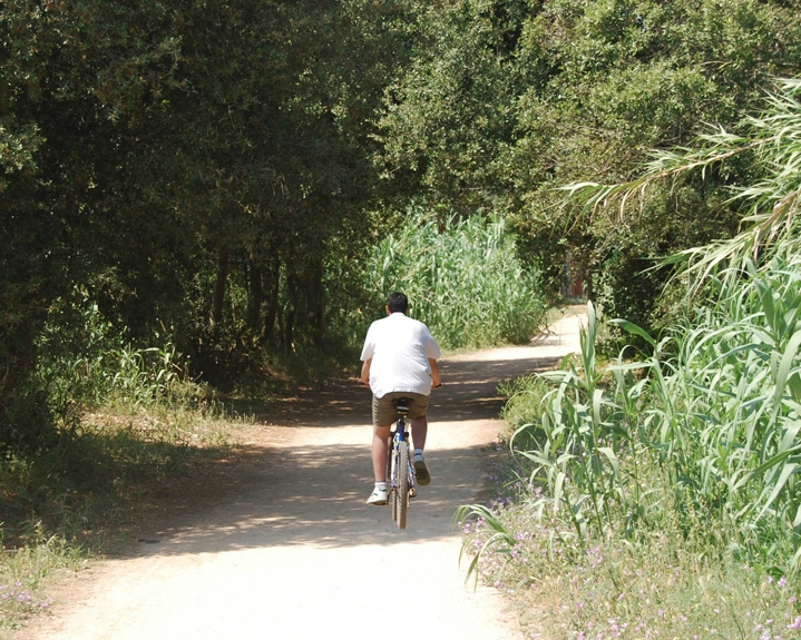 Bikes a Dojo Cyclist