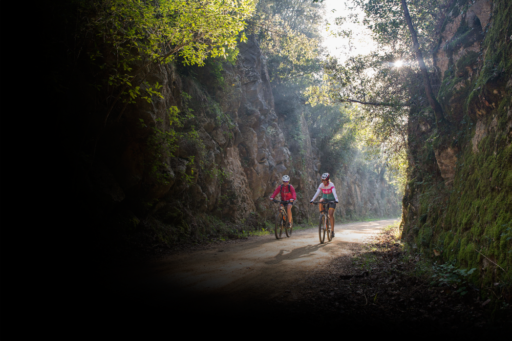 Cyclistes sur le Route du Petit Train I