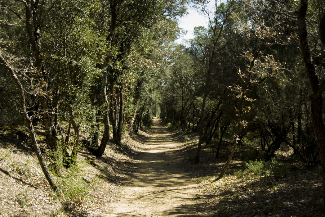 Bosc de Caldes de malavella, Ruta Termal