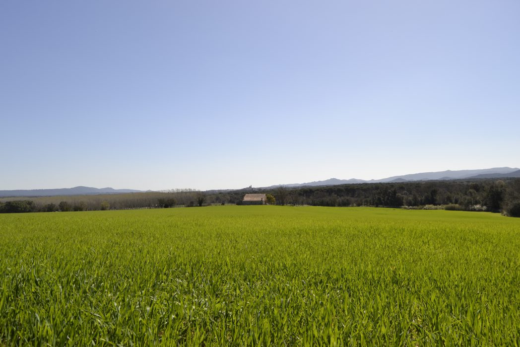 Paysage de la Route Thermale 