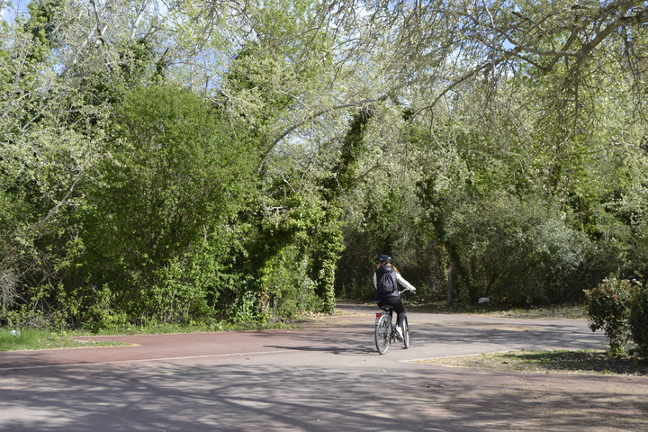 via verda ruta del tren pinxo girona banyoles serinya