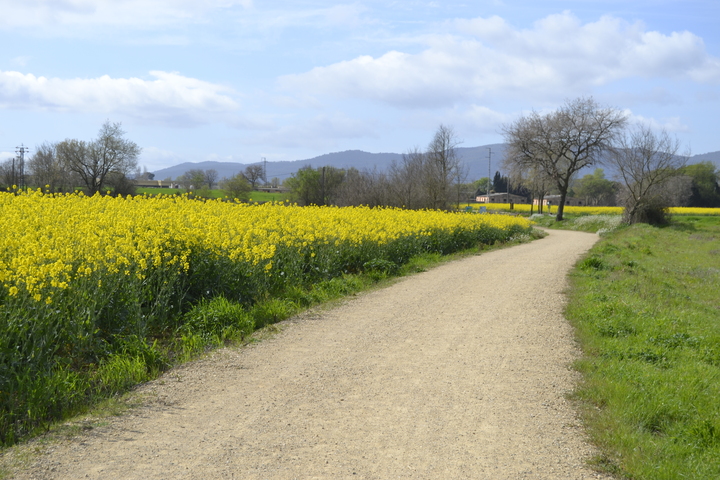 Girona - Sarrià de Ter Route