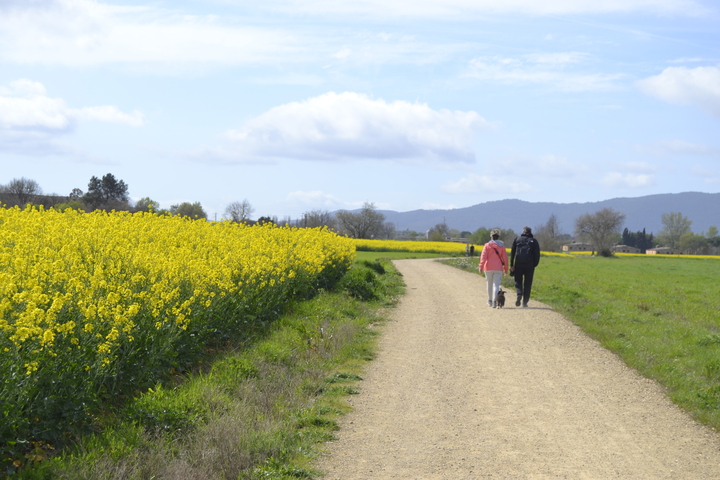 via verda ruta del tren pinxo girona banyoles serinya