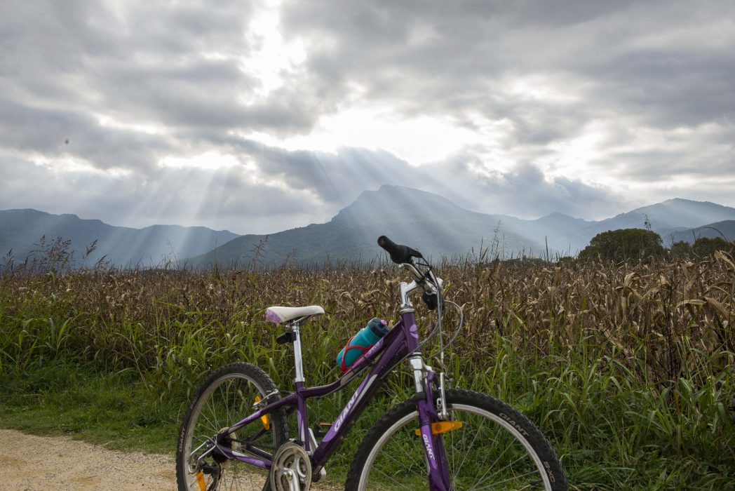 Bici en la etapa del Carrilet I