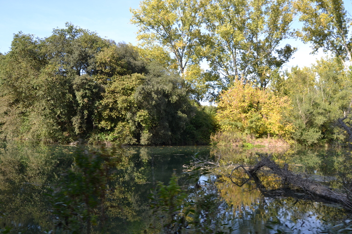 via verda ruta del tren pinxo girona banyoles serinya