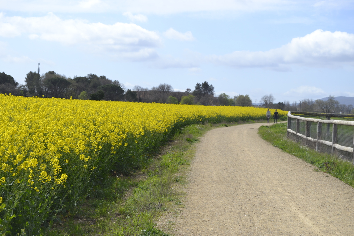 Route Girona - Sarrià de Ter