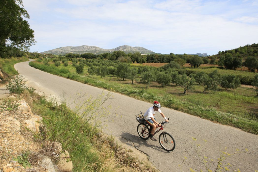 Ciclista delante unas viñas del Baix Empordà
