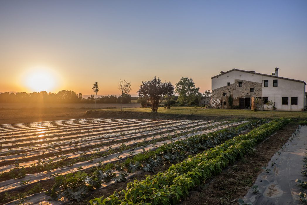 Puesta de sol y huerto en Can Serrà