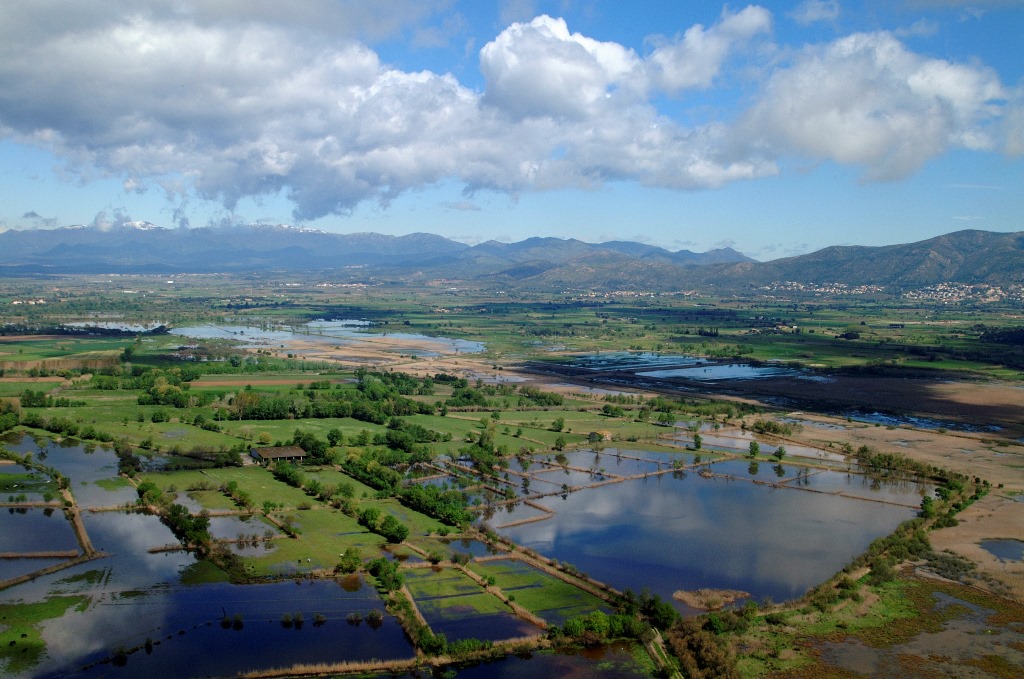 Parc des Aiguamolls de l'Empordà