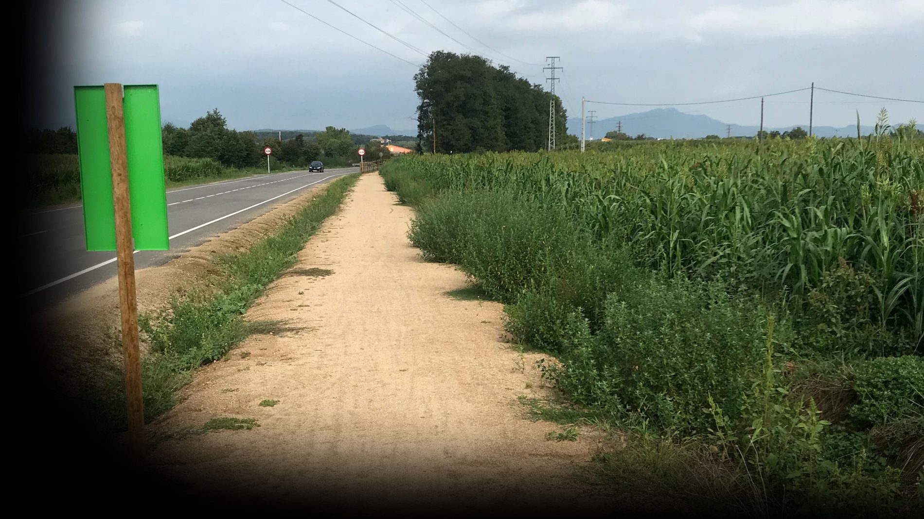 Vista de la via verda entre Fornells i Campllong, al costat de la carretera