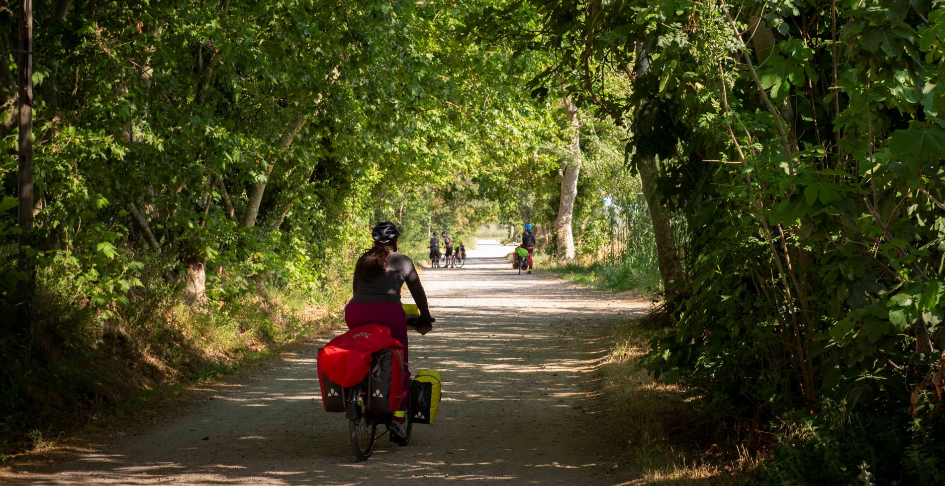 Les travaux et les activités de diffusion du projet « BiciTransCat » reprennent