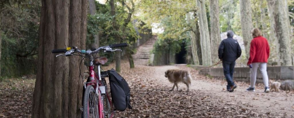 Pareja paseando a un pero atado, en la vía verde