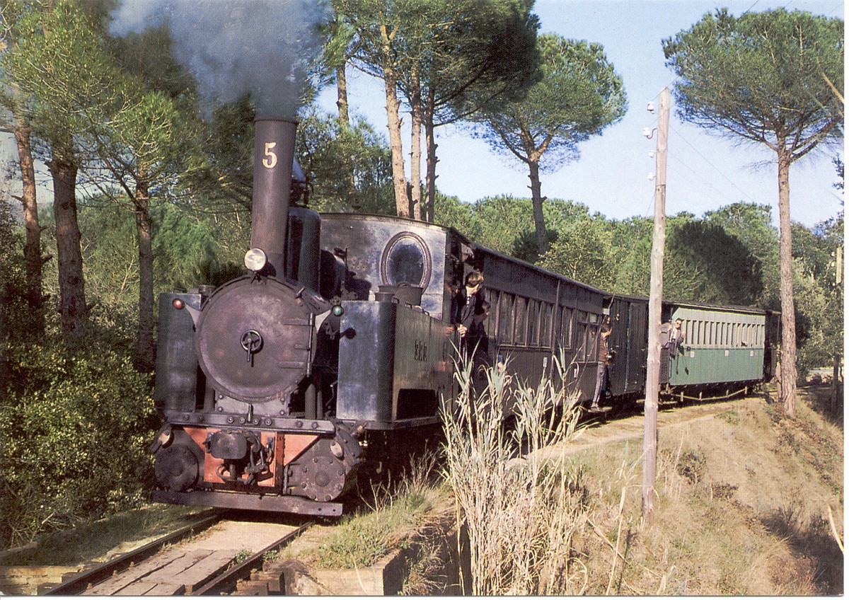 Tren amb cotxes de passatgers