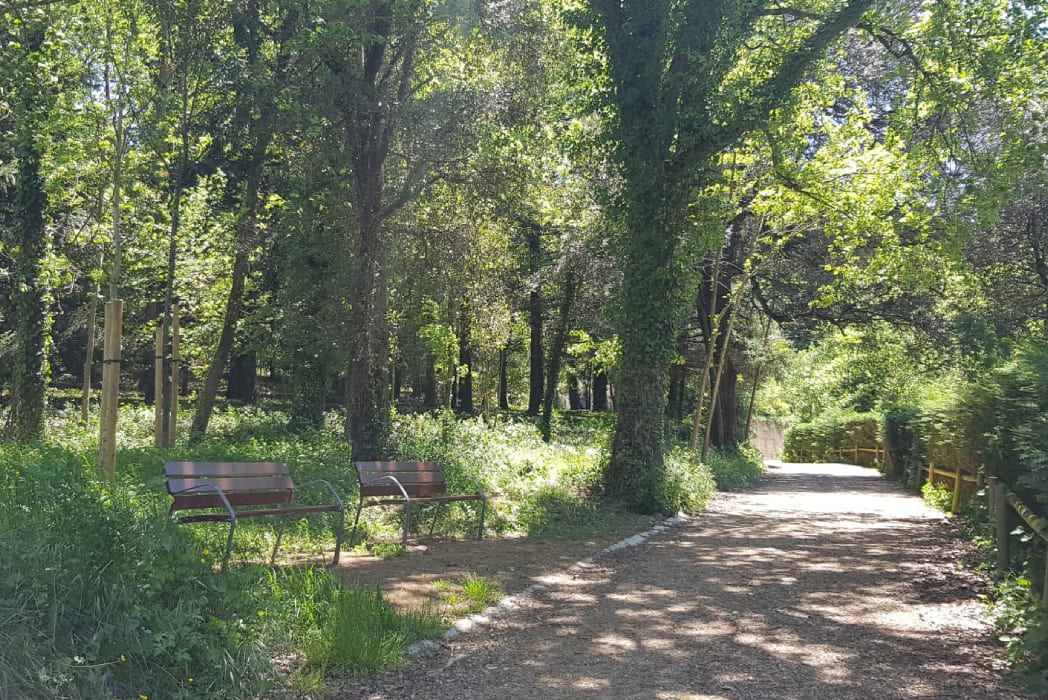 bancs a la via verda vall d'en bas