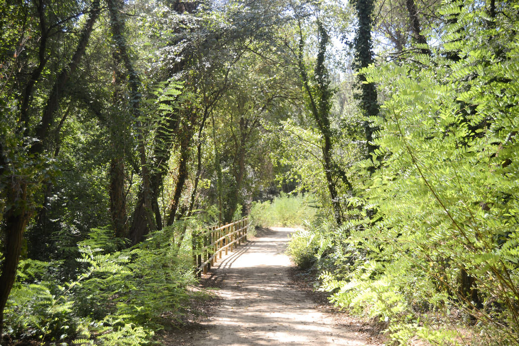 Via verda de les Masies Aiguaviva Aeroport de Girona