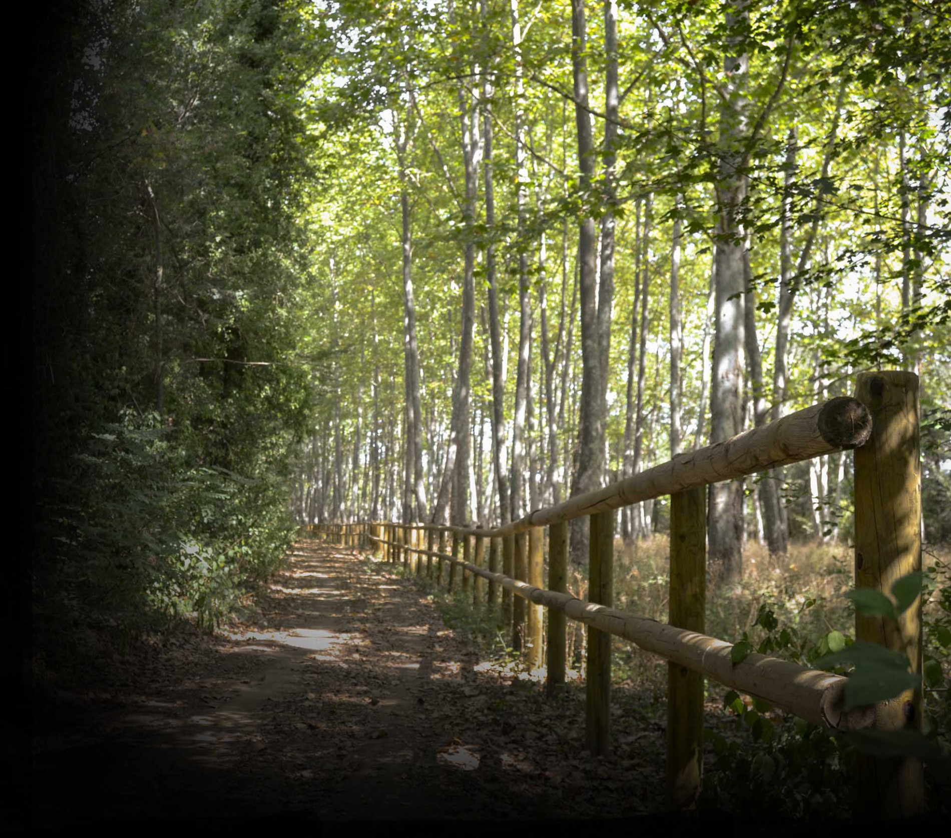 Vía verde ruta del pla gironès sud