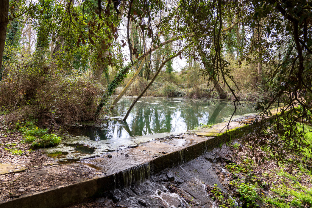 Resclosa de la Capçana Secret Cassà de la Selva