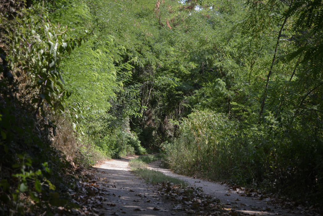 Voie verte Route du Pla Gironès Sud