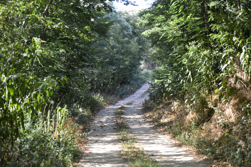 Pla del Gironès Sud route greenway