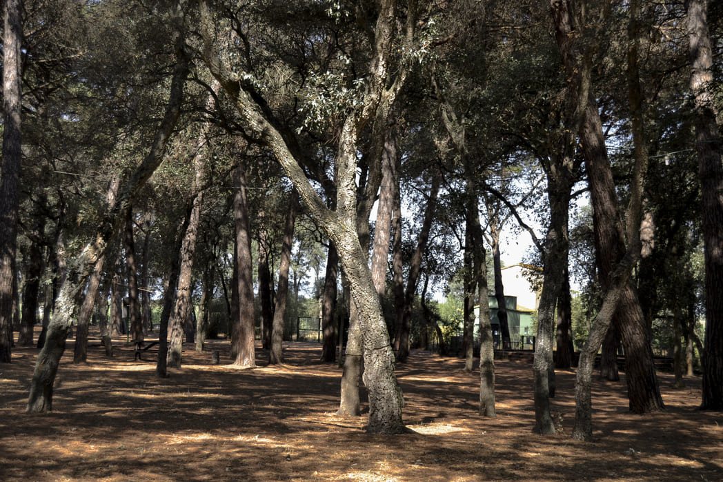 Pla del Gironès Sud route greenway picnic