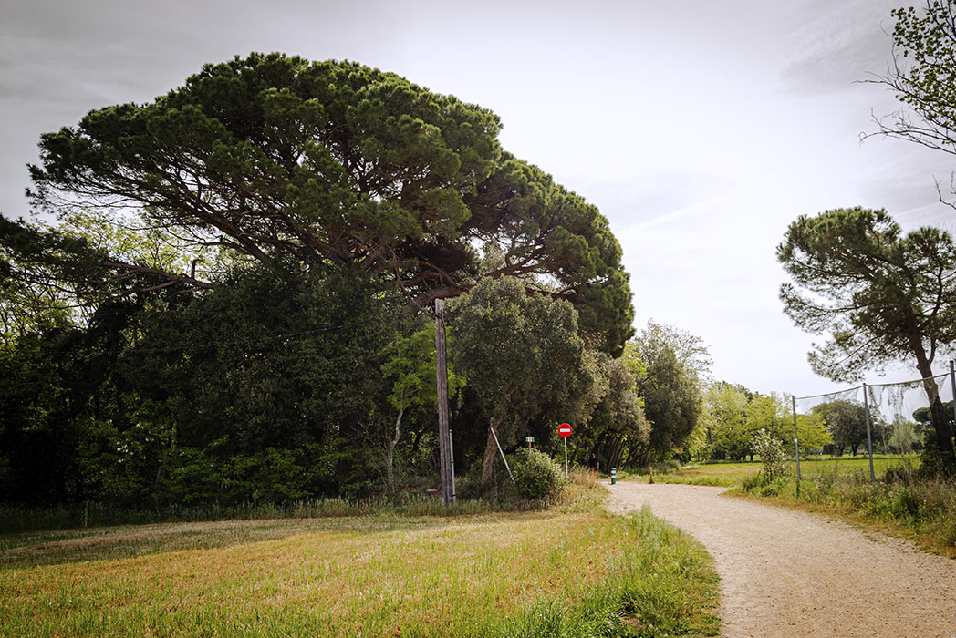 El secret de Santa Cristina d'Aro