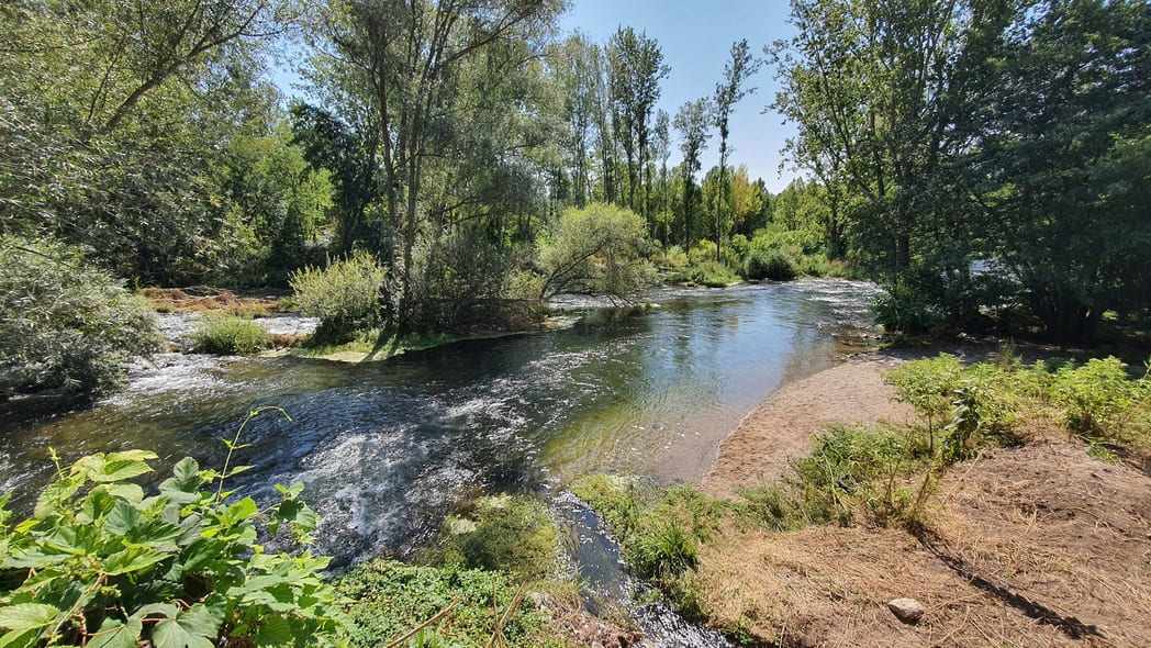 Ribes del Ter, el secret de la Cellera de Ter