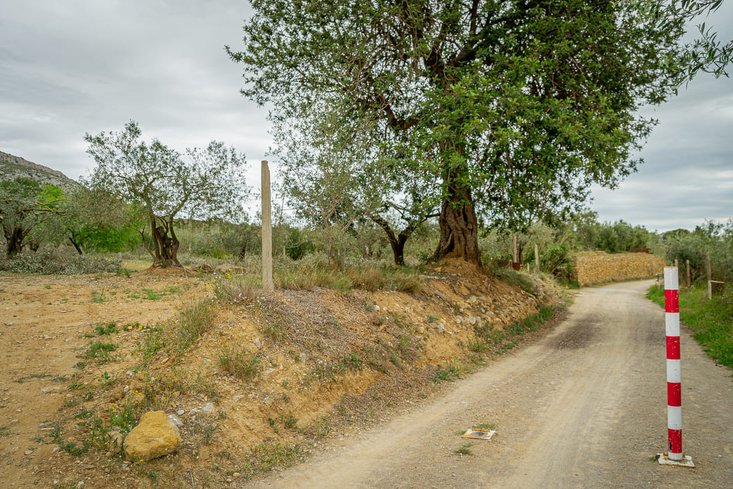 vista del camí vell de Torroella a l'Estartit