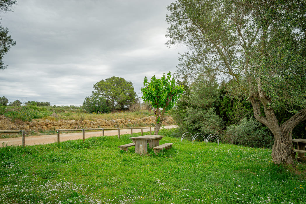 área de descanso de la fuente dels Capellans