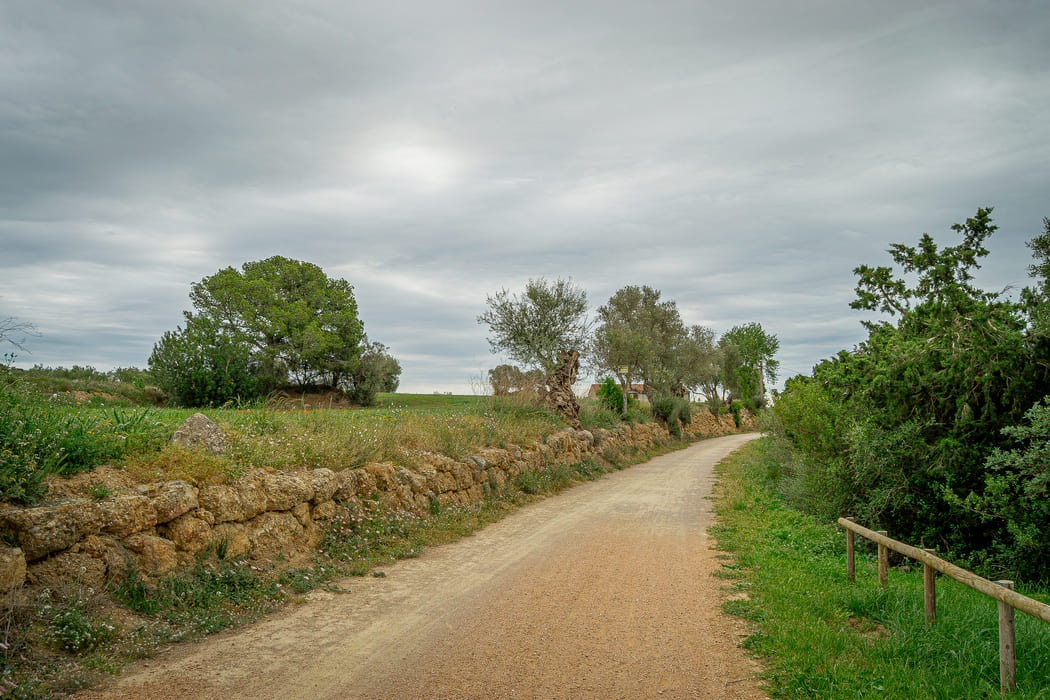 Via verda Camí Vell de l'Estartit