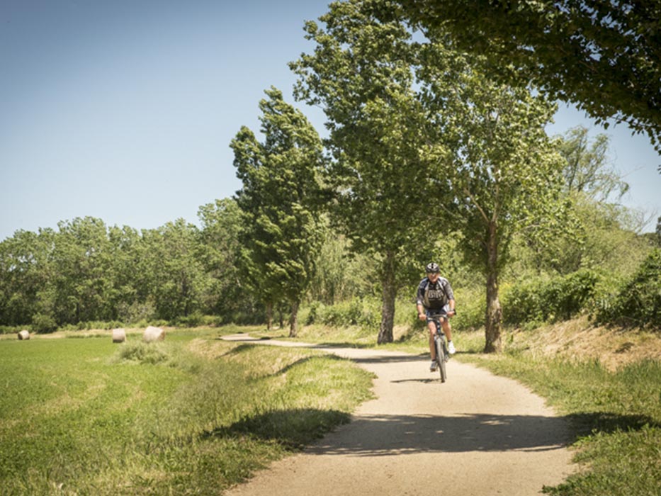 Ciclista pedalant a la via verda del Tren Petit