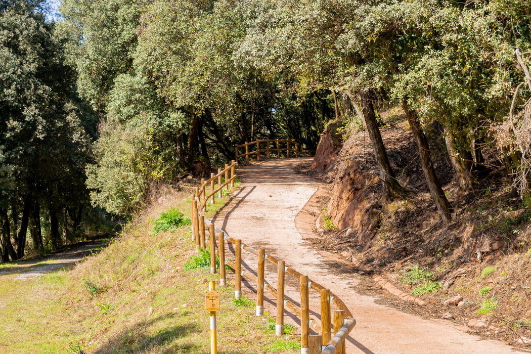 Desnivell ruta Hostalnou de Bianya - Pont del Planàs