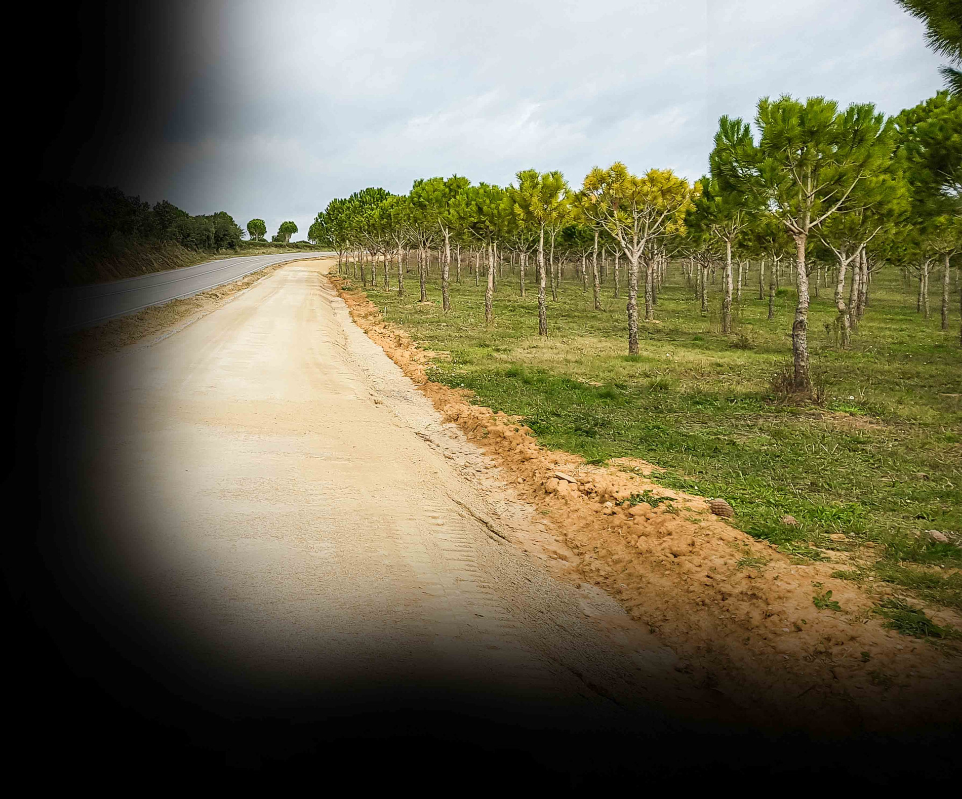 Imatge interior ruta via local Garrigàs - Arenys d'Empordà