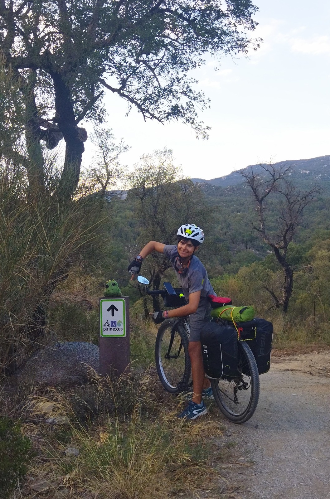 Cicloviatgeres a la ruta Pirinexus
